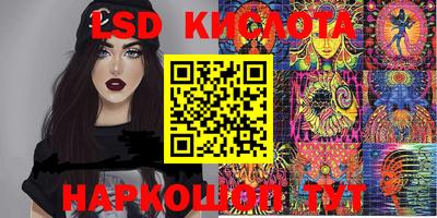 герыч Кингисепп