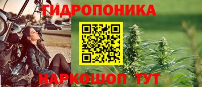 герыч Кингисепп