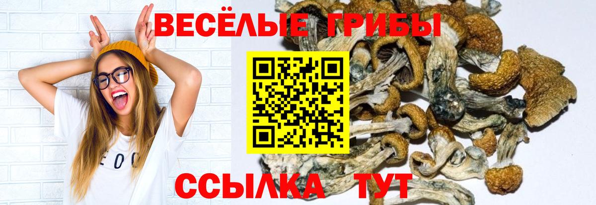 Галлюциногенные грибы мицелий  Галлюциногенные грибы прущие грибы  Шарыпово  Вход с VPN 